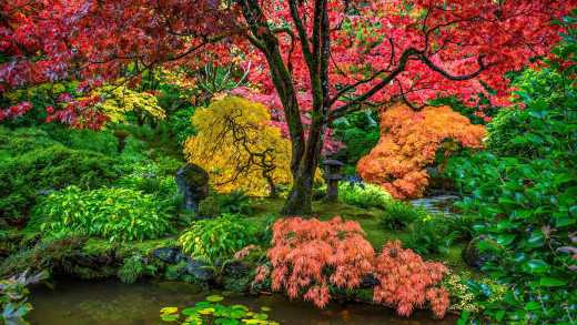 1740799 (a): :2560x1440